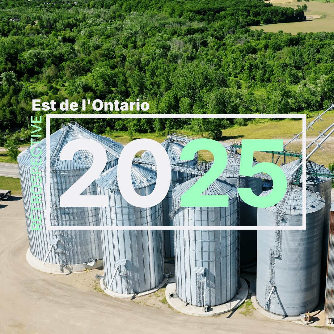 Est ontarien&nbsp;: cinq faits qui ont marqué 2025